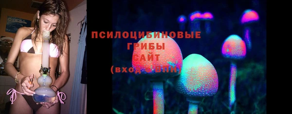 синтетический гашиш Арсеньев