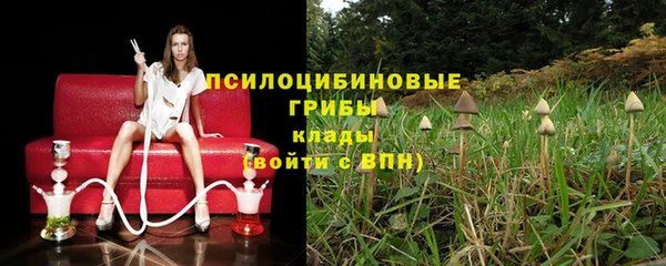 прущий лед Армянск