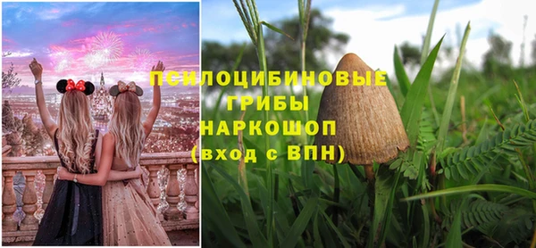 синтетический гашиш Арсеньев