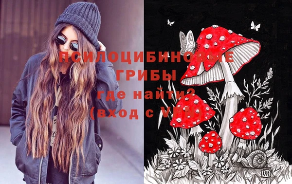 синтетический гашиш Арсеньев