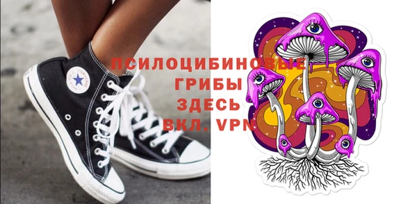 бошки Саяногорск